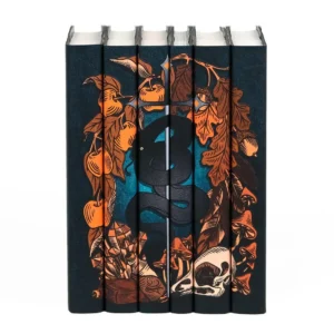 Novels of Elfhame by Holly Black Book Set