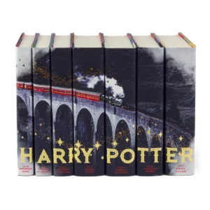 Harry Potter by J.K. Rowling Train Book Set